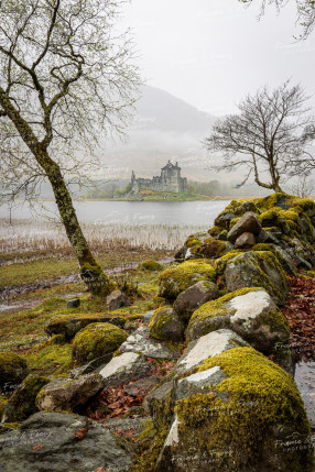 To buy a print or any of the below please click on the images